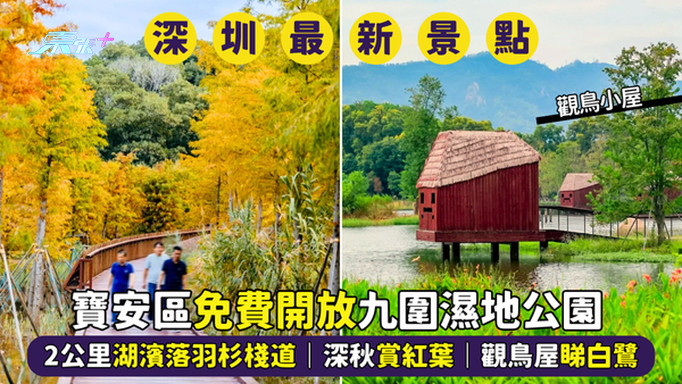 免費開放📣九圍濕地公園 超靚2公里湖濱棧道🌳｜深秋賞紅葉🍂｜觀鳥屋睇白鷺